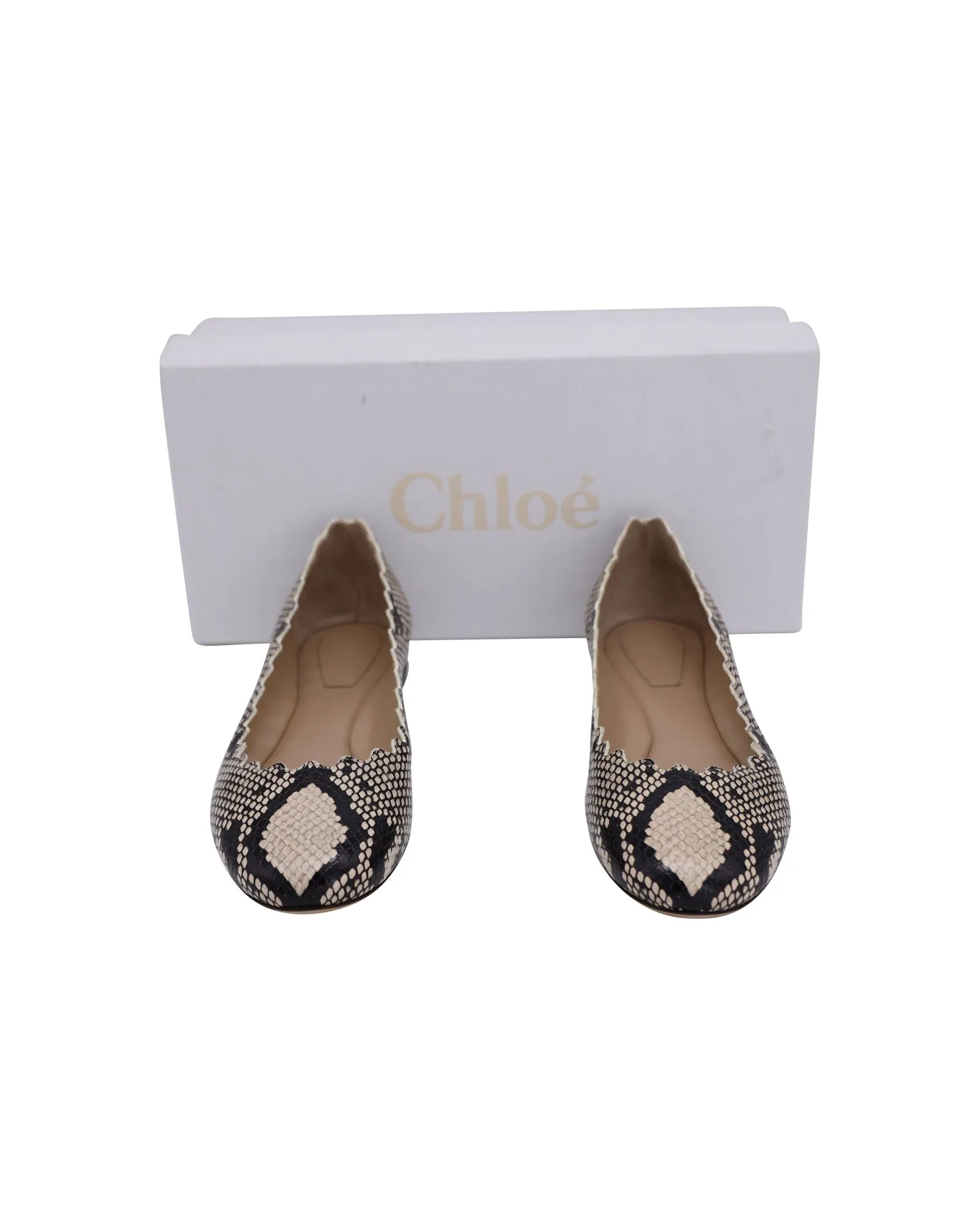 Chloe Python-Embossed Lauren Ballet Flats in Multicolor Leather