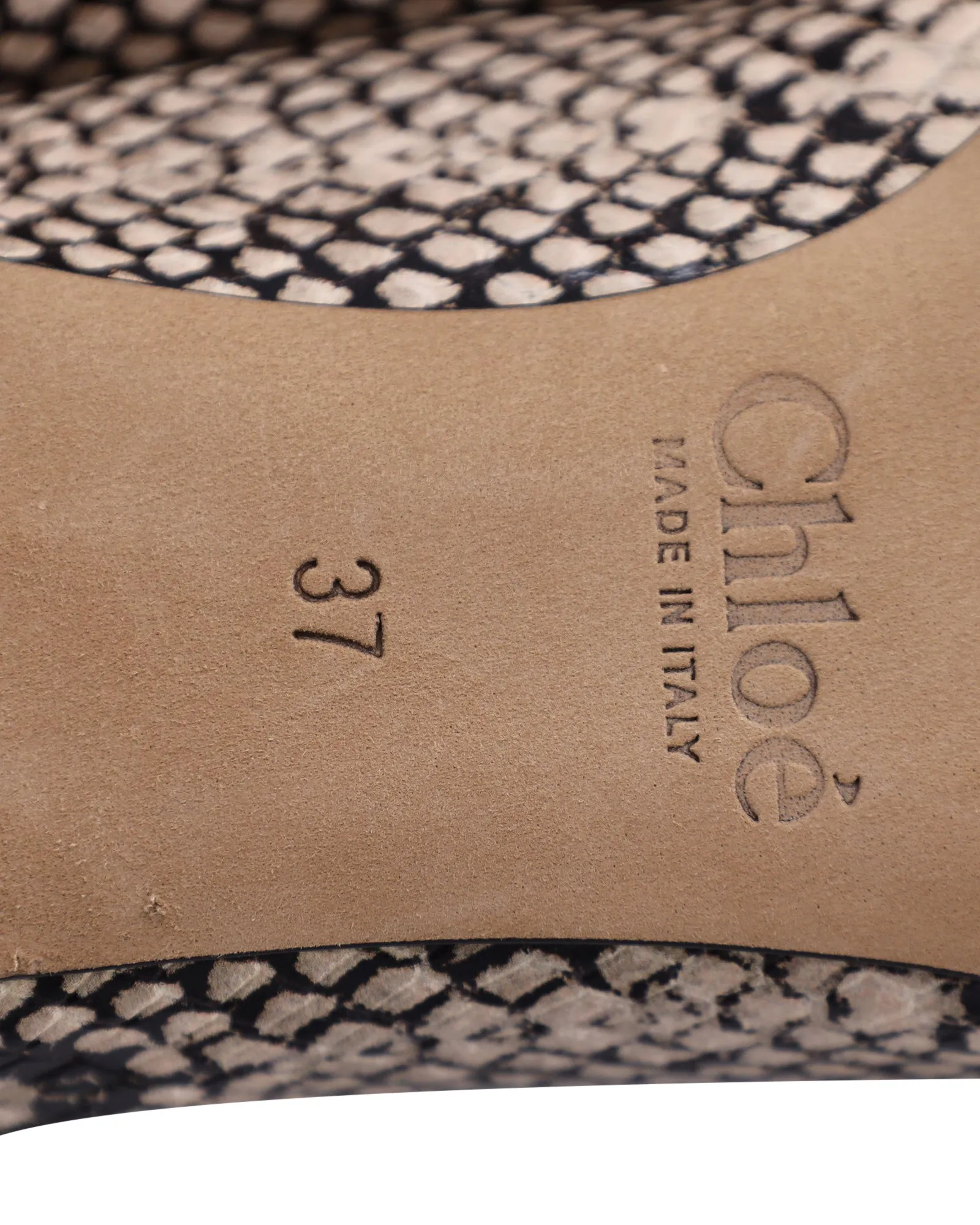Chloe Python-Embossed Lauren Ballet Flats in Multicolor Leather